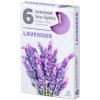 Admit Tea Lights Lavender 6 ks Admit Tea Lights Lavender 6 ks