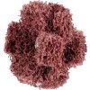 Pferd 44698384 | Brúsna hviezdica 38 mm - 3 vrstvy, Z80, POLINOX PNST Pferd 44698384 | Brúsna hviezdica 38 mm - 3 vrstvy, Z80, POLINOX PNST