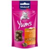Vitakraft Cat Yums kurča a mačacia tráva pre mačky 40 g Vitakraft Cat Yums kurča a mačacia tráva pre mačky 40 g