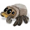 LUCAS THE SPIDER PAVÚK PRE DETI Z VZDELÁVACEJ ROZPRÁVKY