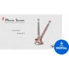 Three-Body Technology Phoenix Scream (Digitálny produkt) Three-Body Technology Phoenix Scream (Digitálny produkt)