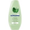 Schauma 7 Herbs Freshness kondicionér 250 ml Schauma 7 Herbs Freshness kondicionér 250 ml