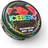 ICEBERG - medium Watermelon Mint Gum Expirované: 5.1.2026 ICEBERG - medium Watermelon Mint Gum Expirované: 5.1.2026