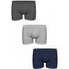 Pánske boxerky JOHN FRANK JF3BPB-H100 Pánske boxerky JOHN FRANK JF3BPB-H100