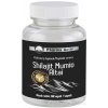 ADITIVA CZ, s.r.o. Pharma Activ Shilajit Mumio Altai 60 ks ADITIVA CZ, s.r.o. Pharma Activ Shilajit Mumio Altai 60 ks
