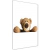 Vertikálny foto obraz sklenený Plyšový medvedík 50x100 cm Vertikálny foto obraz sklenený Plyšový medvedík 50x100 cm