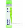 Calcarea Fluorica gra.1 x 4 g 5CH
