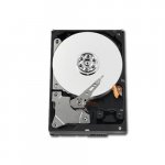Western Digital AV Green Power 500GB, SATAII, 7200rpm, 32MB, WD5000AVDS
