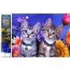 NORIMPEX Diamantové maľovanie Dve mačiatka 30x40cm NORIMPEX Diamantové maľovanie Dve mačiatka 30x40cm