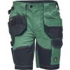 Cerva Dayboro Pánske pracovné šortky machovo zelená