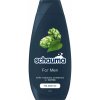 Schauma For Men šampón pre každý typ vlasov 400 ml Schauma For Men šampón pre každý typ vlasov 400 ml