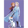 Fleecová deka Disney Frozen 4183 100x140cm Fleecová deka Disney Frozen 4183 100x140cm