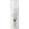 Regina Cool Passion balzam po holení a epilácii upokojujúci 50 ml Regina Cool Passion balzam po holení a epilácii upokojujúci 50 ml