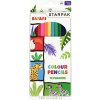 Pastelky Safari STARPAK 501767 12 Farbičky Pastelky Safari STARPAK 501767 12 Farbičky
