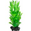 Tetra - Hygrophila 15cm-rastlina plast.S Tetra - Hygrophila 15cm-rastlina plast.S