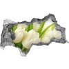 Samolepiaca diera na stenu Biele tulipány 95x73 cm Samolepiaca diera na stenu Biele tulipány 95x73 cm