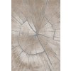 Najkoberce Mila Venice 7874A tmavosivý / hnedý 160x230 cm Najkoberce Mila Venice 7874A tmavosivý / hnedý 160x230 cm