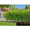 Gardena MDS Kvapkacia hadica 13 mm 50 m 13504-20 Gardena MDS Kvapkacia hadica 13 mm 50 m 13504-20
