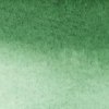 Winsor & Newton watercolor promarker 312 hooker´s green dark