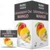 HERBEX Premium ZÁZVOROVÝ ČAJ MANGO, 20x2g HERBEX Premium ZÁZVOROVÝ ČAJ MANGO, 20x2g