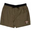 Santa Cruz plavky Guzman Skull Swimshort Uniform Green
