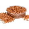 VYSOKO KVALITNÉ KRMIVO - SUŠENÝ KREVETKA BRINE SHRIMP PRE KORYTNAČKY A INÉ ZVIERATÁ VYSOKO KVALITNÉ KRMIVO - SUŠENÝ KREVETKA BRINE SHRIMP PRE KORYTNAČKY A INÉ ZVIERATÁ