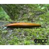 Wobler ZECK Zander Laufer 125 - Nachtschatten Wobler ZECK Zander Laufer 125 - Nachtschatten