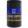 USN Amino grow 5500 mega caps 400 kapsúl
