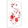 Vertikálny foto obraz sklo tvrdené Mlieko a maliny 50x100 cm Vertikálny foto obraz sklo tvrdené Mlieko a maliny 50x100 cm