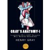 Gray's Anatomy (Henry Gray)(Brožovaná) Gray's Anatomy (Henry Gray)(Brožovaná)