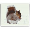 Vymalujsisam.sk Diamantové maľovanie - Veverička s orieškom Veľkosť: 30x40cm, Rám: Na plastovej doske, Diamanty: Hranaté Vymalujsisam.sk Diamantové maľovanie - Veverička s orieškom Veľkosť: 30x40cm, Rám: Na plastovej doske, Diamanty: Hranaté
