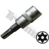 TRIUMF Bit Torx vŕtaný v 3/8 TRIUMF Bit Torx vŕtaný v 3/8