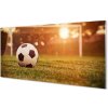 Obraz na skle Lopta slnko gate 100x50 cm Obraz na skle Lopta slnko gate 100x50 cm