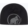 Zimná čiapka Mammut Logo steel/black Zimná čiapka Mammut Logo steel/black
