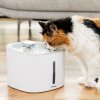 Drinkatt Fontána InnovaGoods 3 l Drinkatt Fontána InnovaGoods 3 l