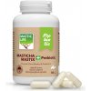 Mastic Life Prebiotic Chios Masticha, 160 kapsúl Mastic Life Prebiotic Chios Masticha, 160 kapsúl