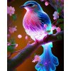 Norimpex diamantové malování Magický pták 30 x 40cm