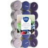 Aura Bispol Forest Fruits vonné čajové sviečky 30ks Aura Bispol Forest Fruits vonné čajové sviečky 30ks