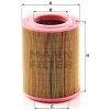 Vzduchový filter MANN-FILTER C 1430 Vzduchový filter MANN-FILTER C 1430