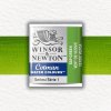 AKVARELOVÁ FARBA - WINSOR & NEWTON - COTMAN - POLPANVIČKA | SAP GREEN AKVARELOVÁ FARBA - WINSOR & NEWTON - COTMAN - POLPANVIČKA | SAP GREEN