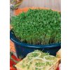 Moravoseed BIO Žerucha siata Moravoseed BIO Žerucha siata