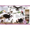 DK Kinderlexikon. Tiere DK Kinderlexikon. Tiere