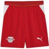 Puma RB Leipzig Replica 2026/27 červená S
