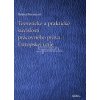 Teoretické a praktické súvislosti pracovného práva Európskej únie - Barancová Helena Teoretické a praktické súvislosti pracovného práva Európskej únie - Barancová Helena