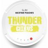 Thunder citrus slim 20 mg/g 21 vrecúšok