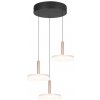 TRIO 354930365 CELESTE závesné svietidlo D350mm SMD LED 3x7,5W/750lm 3000K čierna, kávová, switchdimmer TRIO 354930365 CELESTE závesné svietidlo D350mm SMD LED 3x7,5W/750lm 3000K čierna, kávová, switchdimmer