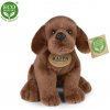 Plyšový labrador 20 cm - plyšové hračky Plyšový labrador 20 cm - plyšové hračky