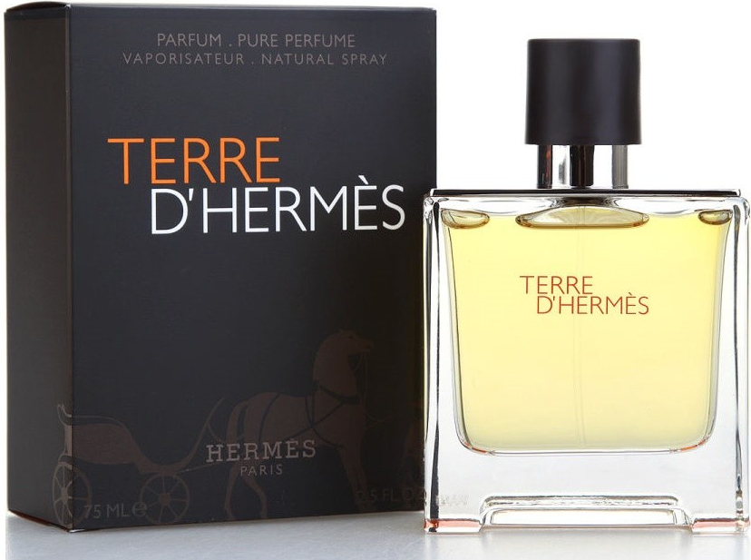 Hermès Terre D´Hermès Parfum parfumovaná voda pánska 75 ml