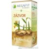 MEGAFYT Bylinková lekáreň ZÁZVOR, 20x1,5g MEGAFYT Bylinková lekáreň ZÁZVOR, 20x1,5g