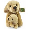 Rappa Plyšový labrador s bábätkom ležiaci 25 cm ECO-FRIENDLY Rappa Plyšový labrador s bábätkom ležiaci 25 cm ECO-FRIENDLY